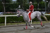 Immagine <b>REG_9232</b>